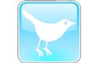 Twitter Feed