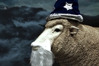 Dumblesheep