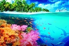 Coral Reef Adventure