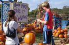 As the leaves change and the crisp autumn air replaces the humidity of summer, fall festivals spring up across parts of Virginia and Maryland.
