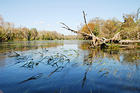 Classroom in the Wild: Florida takes students to one of the most pristine estuaries in Florida