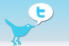 Blue bird with T for Twitter