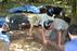 Great Dismal Swamp Hid a Secret Human World