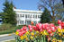 AU Designated a Tree Campus USA University