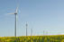 American University Buys 100% Green Power