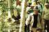 Unearthing Secrets of the Great Dismal Swamp