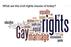 Class Creates Civil Rights Project for Gannett