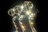Alumni Net Four Emmys