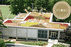 The Greenest University in the Nation