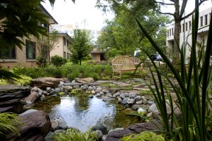 Arboretum Tour Roper Park