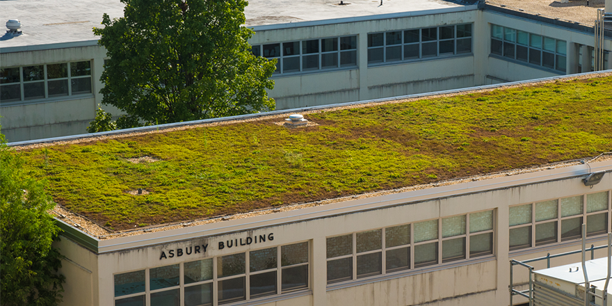 Simple Asbury Green Student Apartments for Large Space