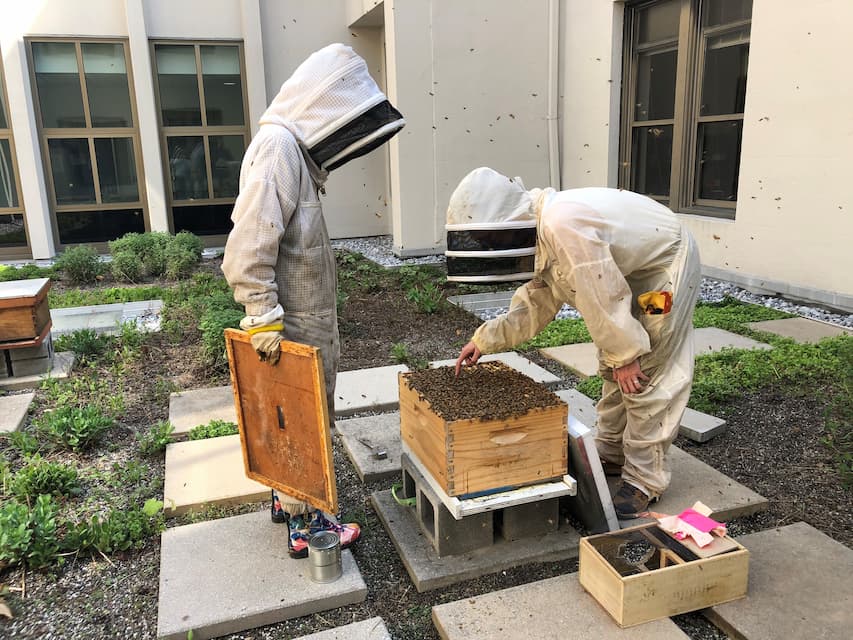 students with bees
