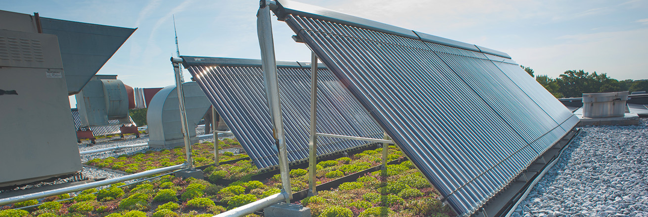 Solar Panels and Green Roof on Mary Graydon Center