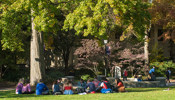 Students Study in Circle on Quad