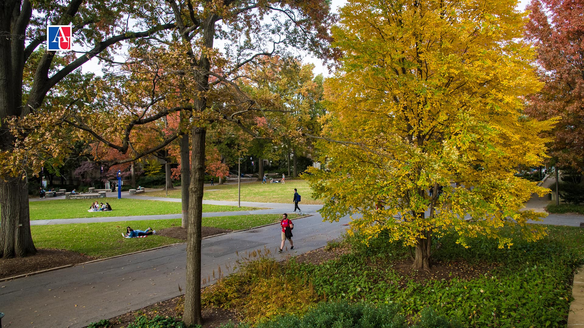 Fall image of campus