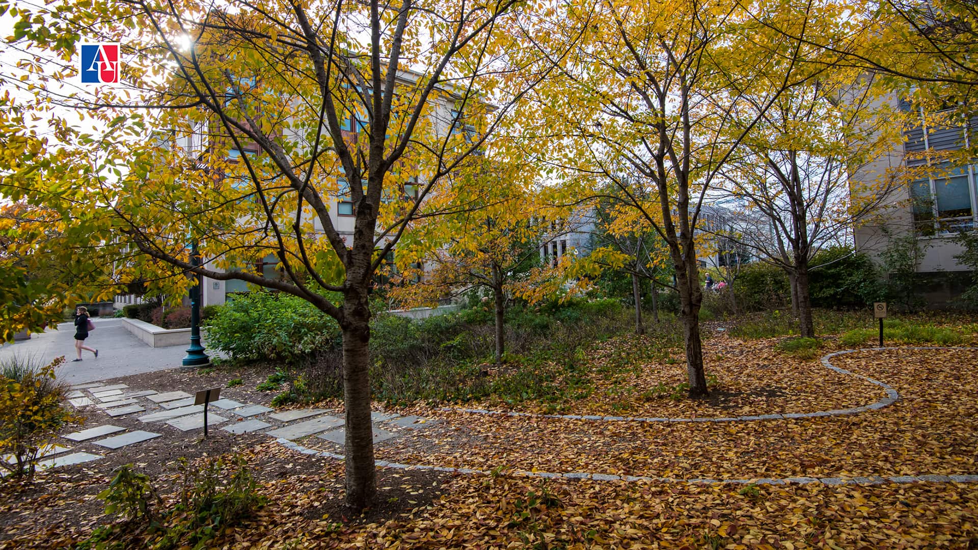 Fall Image of campus
