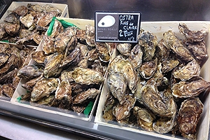 Oysters for sale at a market.