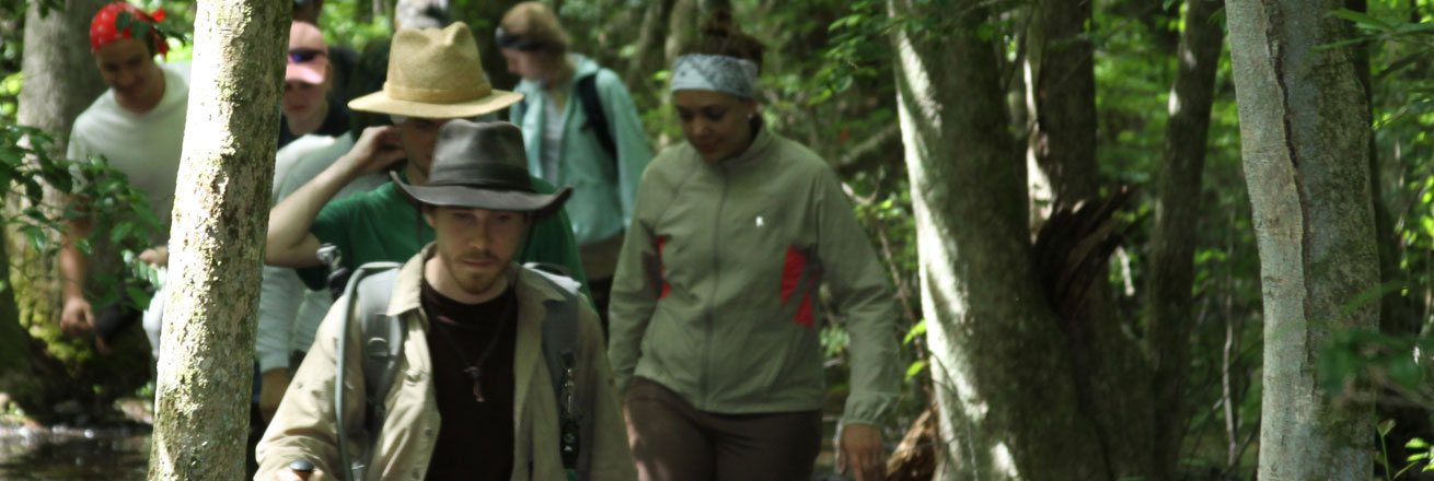 Anthropology students trek through the Dismal Swamp