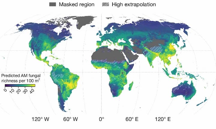 Fungal richness world graph from Nature paper.