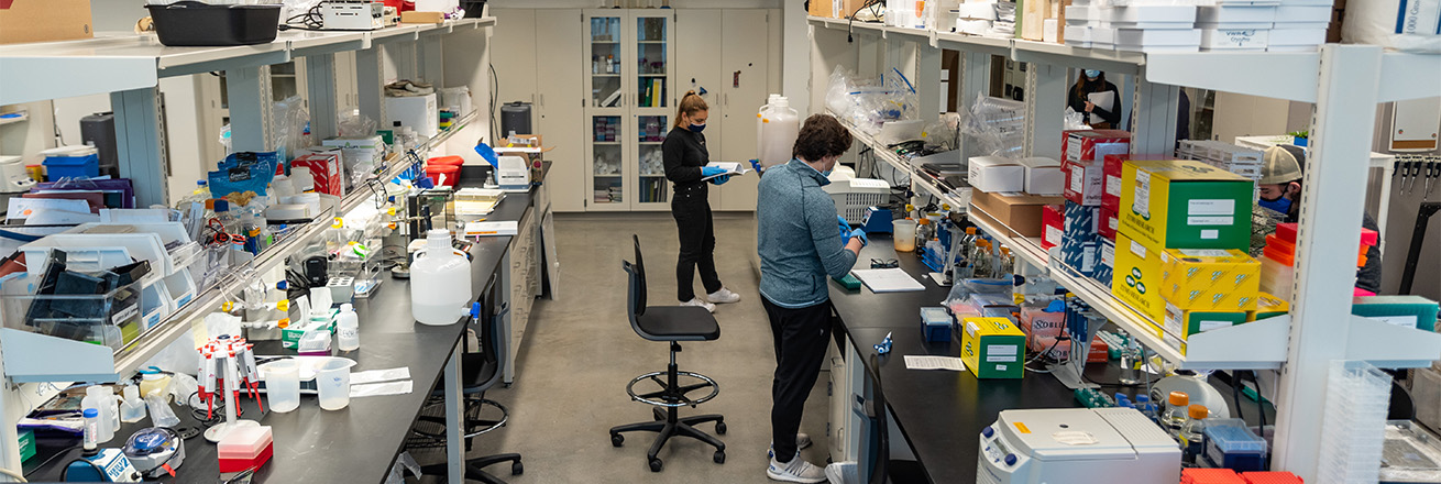 Two students working in a biology lab at AU