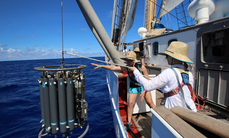 AU students leaning off of ship to haul in fieldwork equipment.