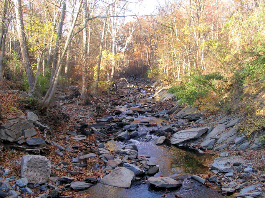 River in Brookmont, MD