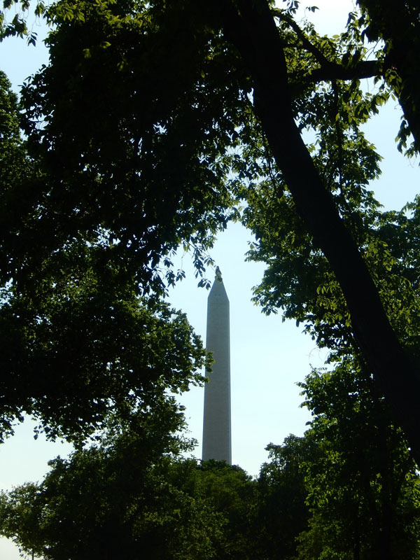 Washington Monument visible through trees by Angela Loria