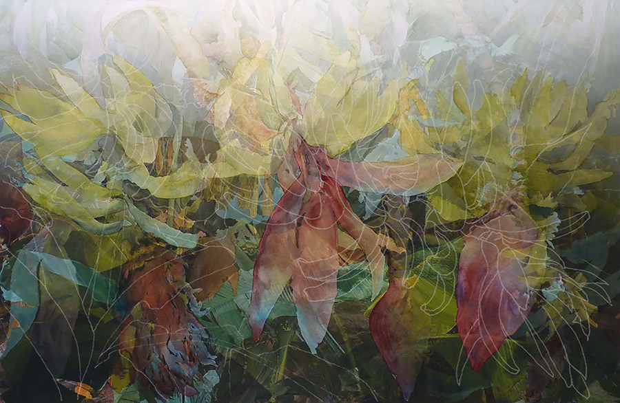 Christine Neill, Disappearing Cavendish, 2017.
