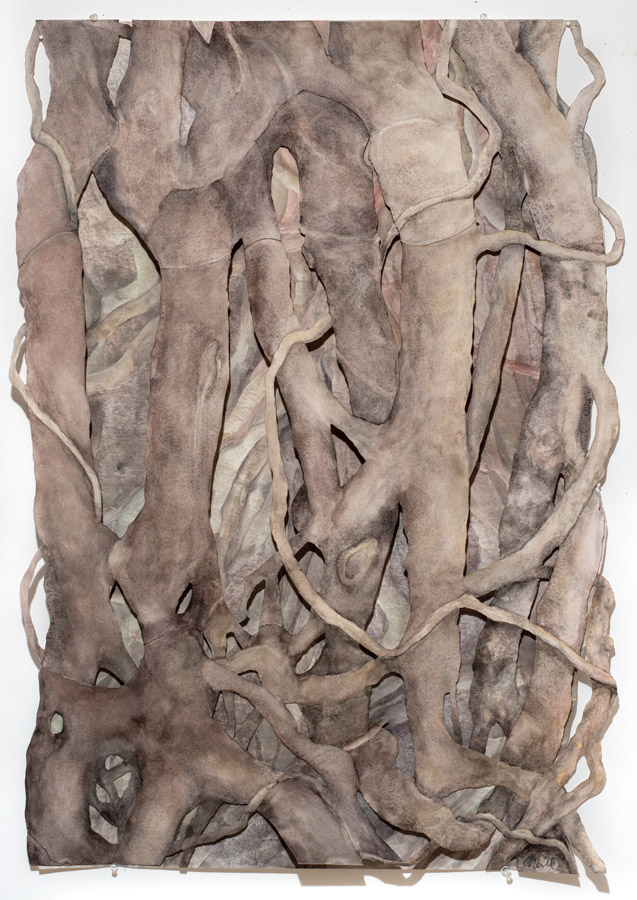 Christine Neill, Strangler Fig, 2019.