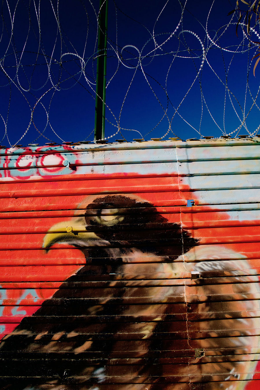Allan Gerson, Border Wall number 7, 2018