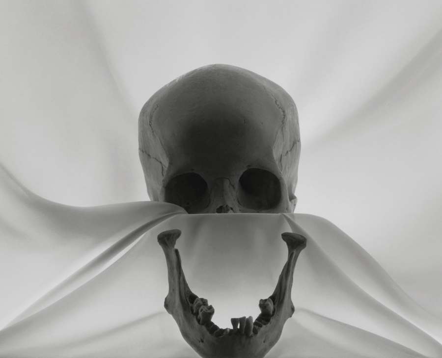 Lynn Stern, Skull, #10a