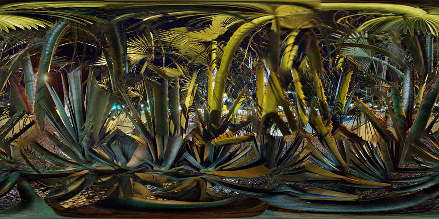 El Rancho Motel No. 2, South Fourth Avenue, Yuma, Arizona, 2018, archival inkjet prints. Courtesy of the artist.Confusing and distorted picture of yucca plants and palms