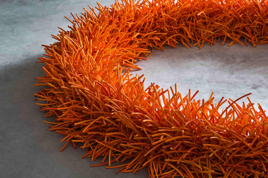 Bean Finneran, Orange Ring, 2022.