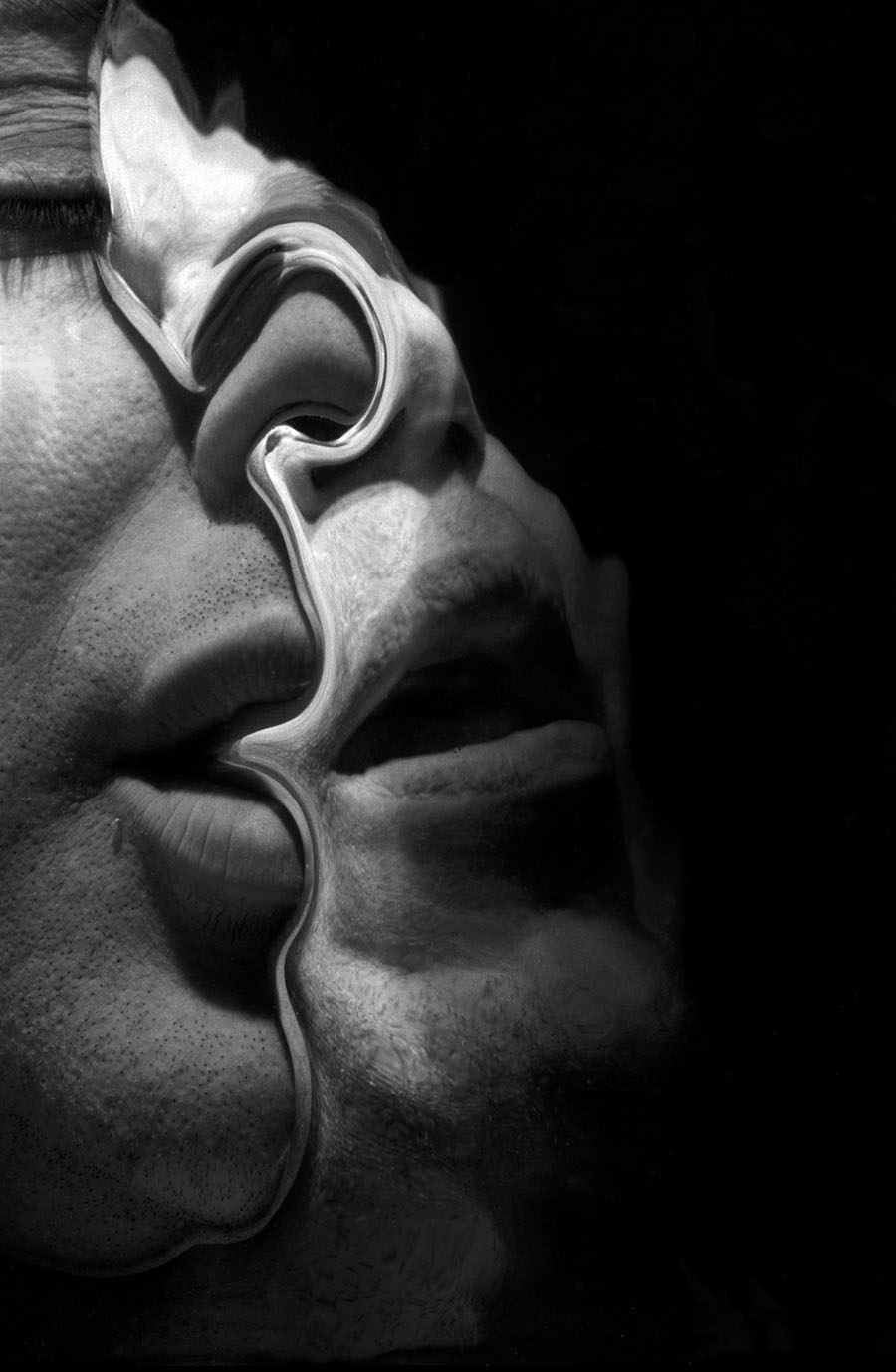 Connie Imboden, Untitled (8295), 1999. Two faces, one overlapping the other as if it is a viscous liquid.