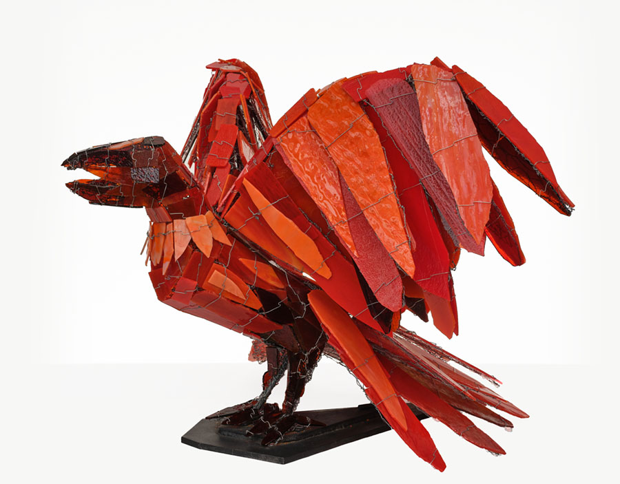 Ravens: Spirits of the Sky | American University, Washington, DC
