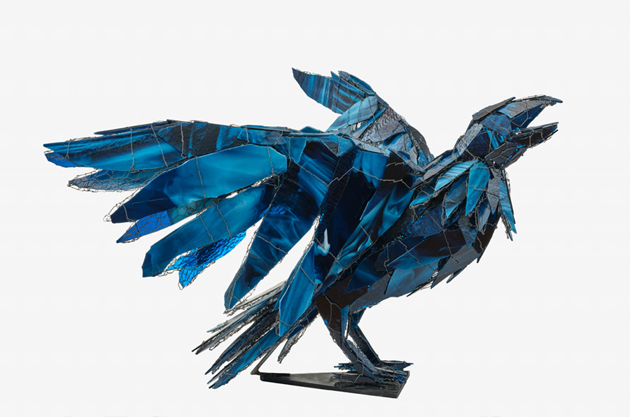 Ravens: Spirits of the Sky | American University, Washington, DC