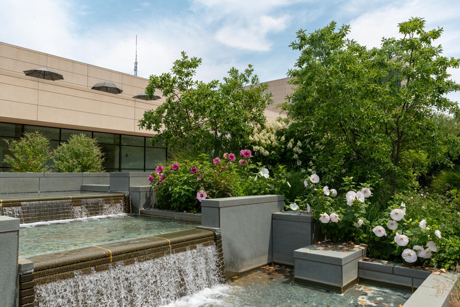 Plants and fountain outside Katzen Arts Center