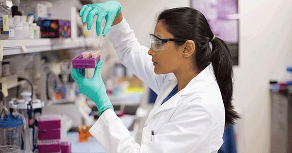 A scientist at work in a lab