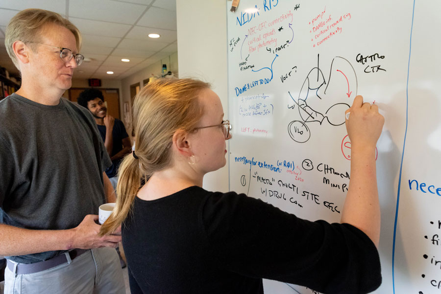 Student drawing diagram on dry erase board