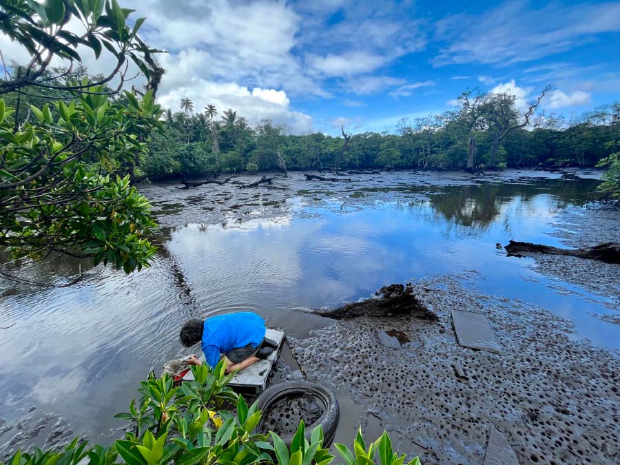 Samoa Environment Earth Day, Every Day: AU Research Driving Environmental Change ...