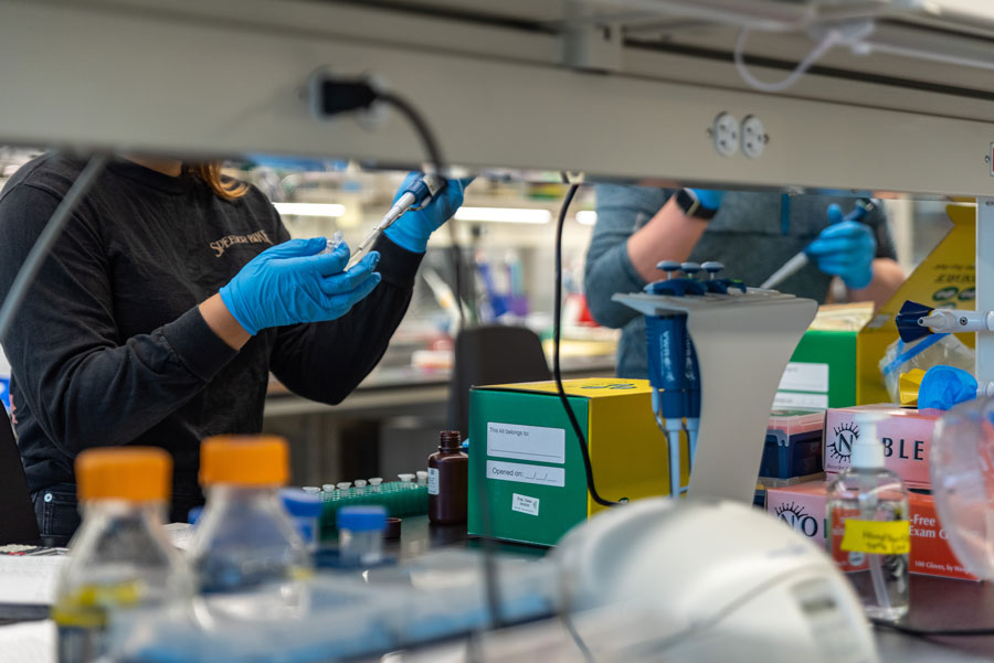 Students work in biology lab