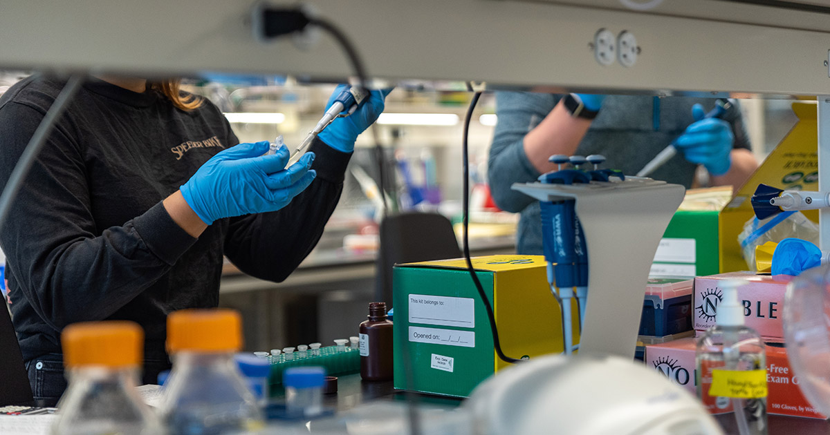 Students work in a biology lab at AU