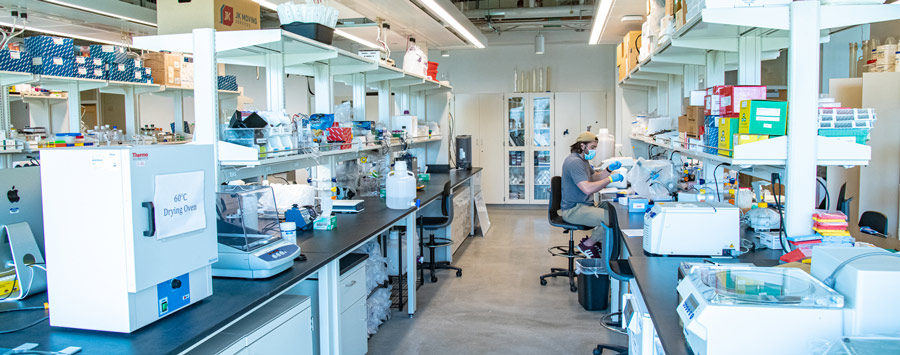 Student seated in lab, working