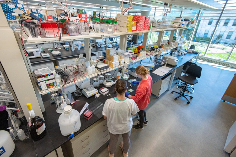 Students working in lab