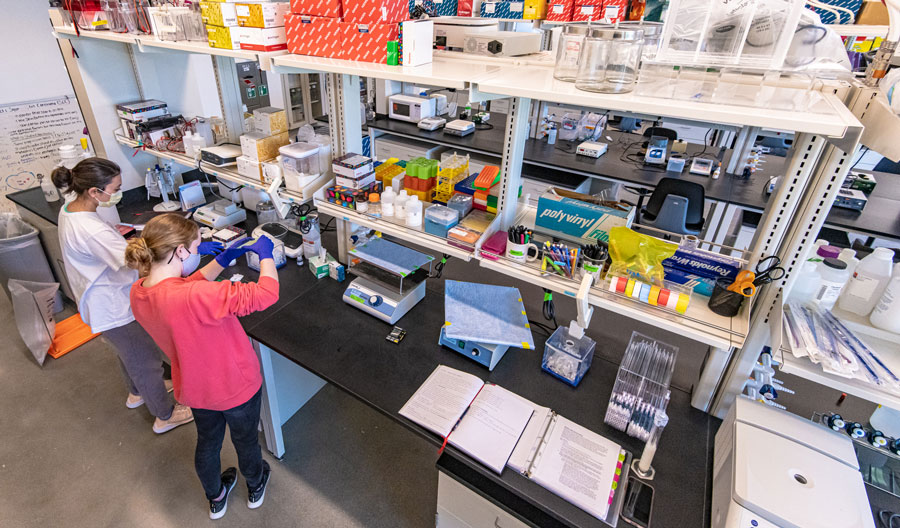 Students work in Hall of Science lab together