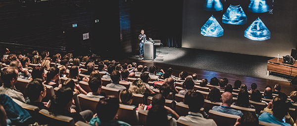 A presenter on stage speaks to an audience