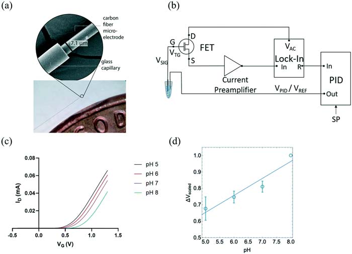 Micro-electrode diagram