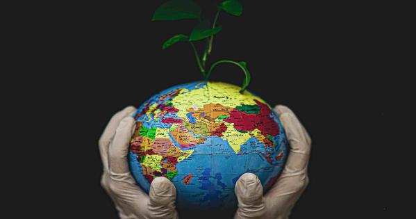 Hands holding a globe. Credit: By Fateme Alaie