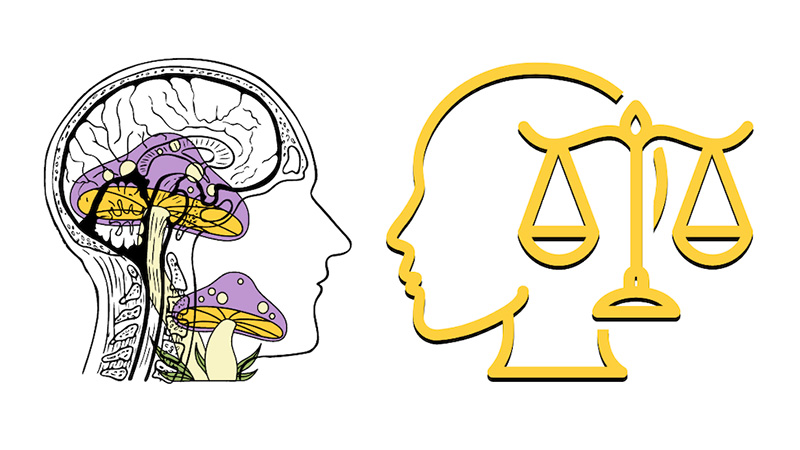 Illustration of brain with psychedelic mushrooms opposite brain with scales of justice
