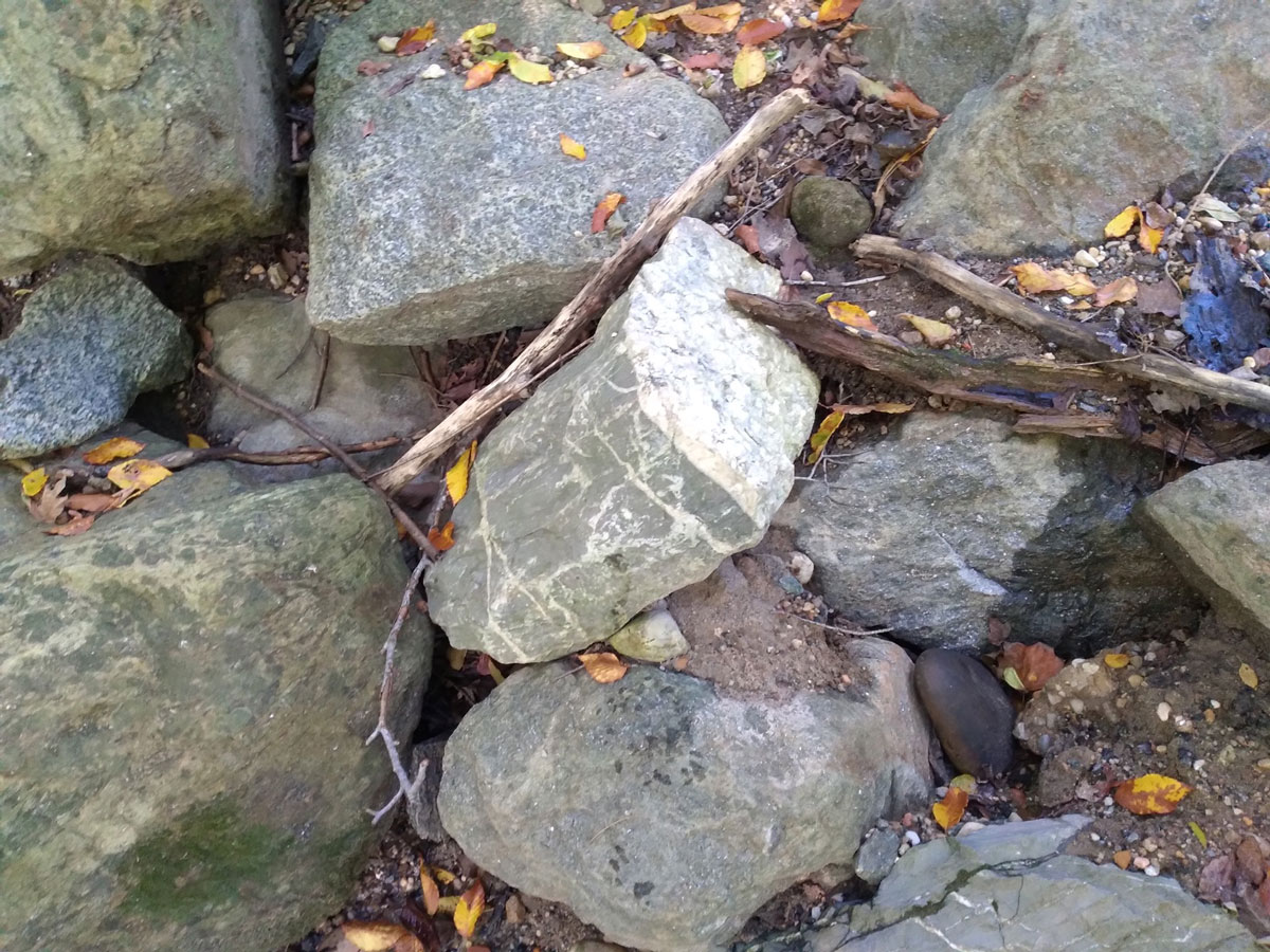 Environmental Science and Geology Classes Move Outdoors | American  University, Washington, D.C.